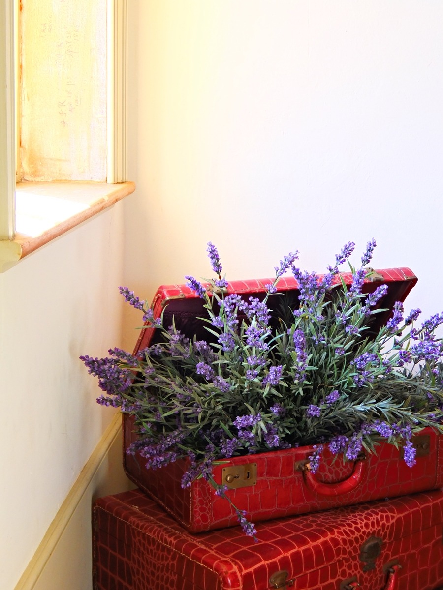 tumblr_o8unkzLVwY1v4yqceo1_1280