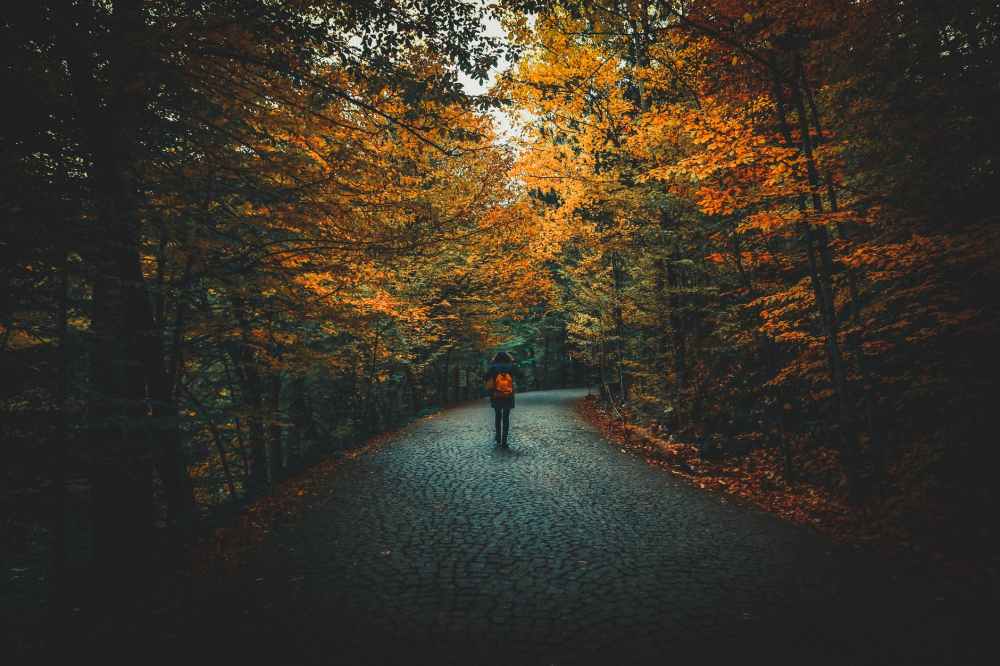 man walking on road with orange bag surrounded by trees